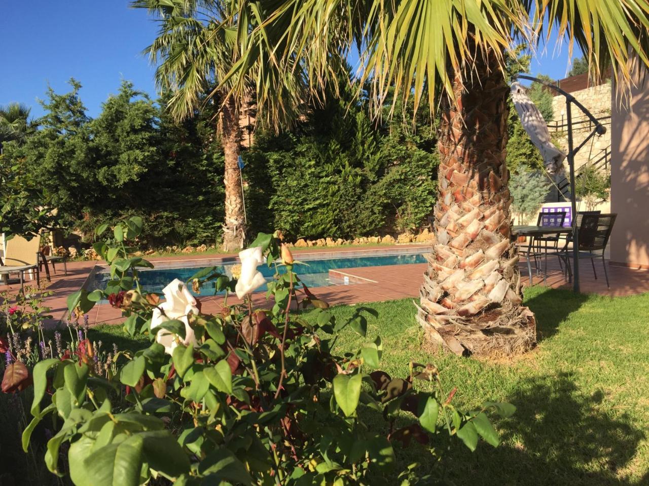 Meliades Villas Agia Marina Exteriör bild